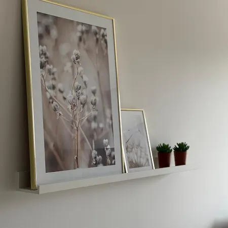 Apartman Vanagupes Vakarai