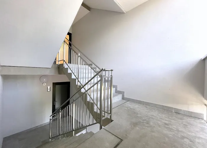 Vanagupes Vakarai Palanga